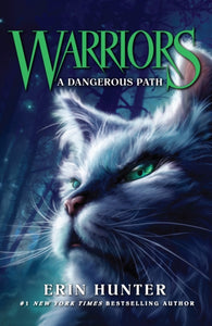 A Dangerous Path : Book 5 - 9780007140060