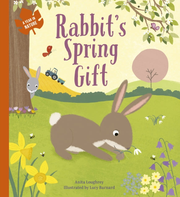 Rabbit's Spring Gift - 9780711250819