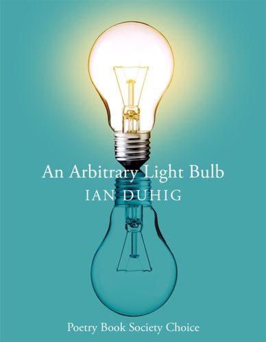 An Arbitrary Light Bulb - 9781035033201