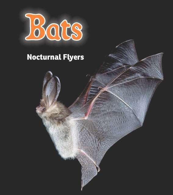 Bats : Nocturnal Flyers - 9781406282870