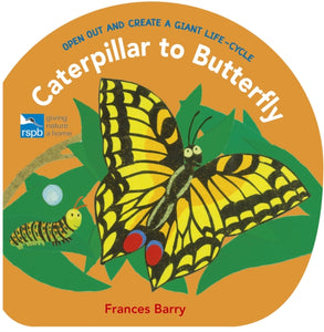 Caterpillar to Butterfly : Open Out and Create a Giant Life-Cycle - 9781406383485