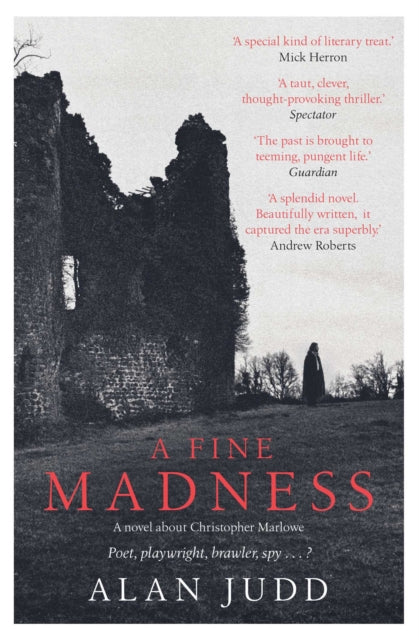 A Fine Madness : Sunday Times 'Historical Fiction Book of the Month' - 9781471180248