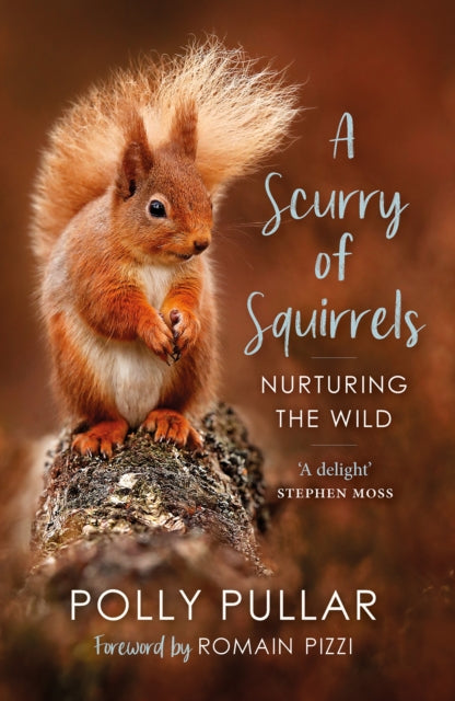 A Scurry of Squirrels : Nurturing The Wild - 9781780277752