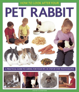 How to Look After Your Pet Rabbit - 9781843228349