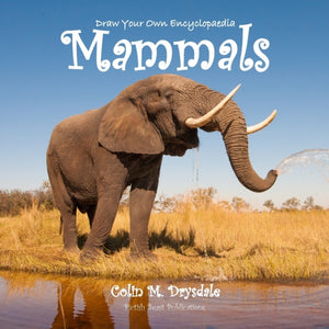 Draw Your Own Encyclopaedia Mammals - 9781909832398