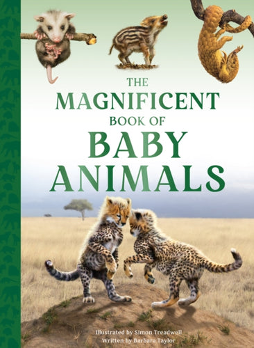 The Magnificent Book of Baby Animals - 9781915588470